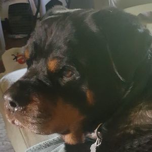 Meet your Posher, Rickie